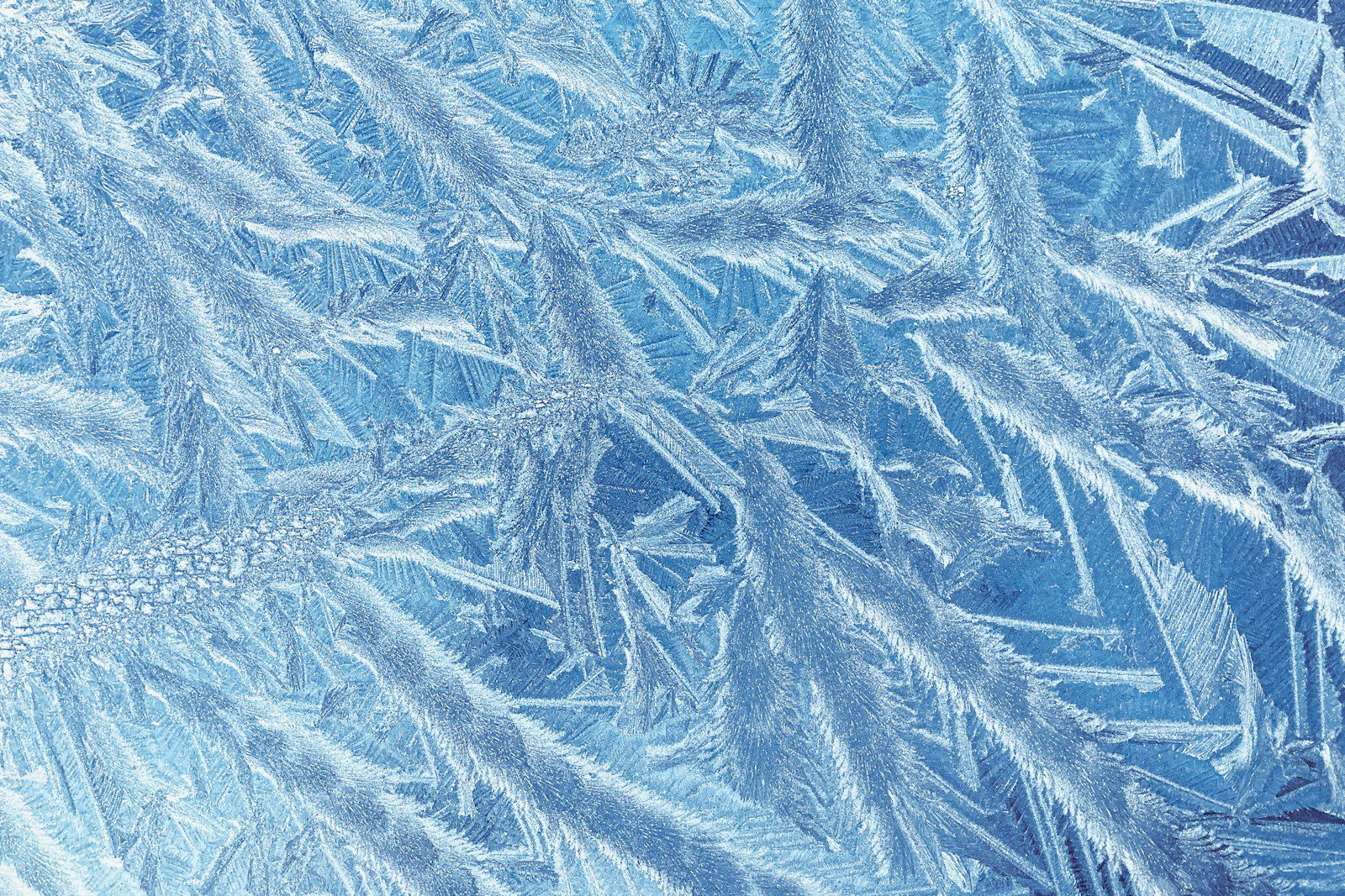 a close up of ice crystals on a window